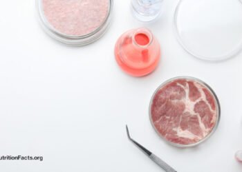 Chemical Safety, Cultivated Meat, and Our Health 
