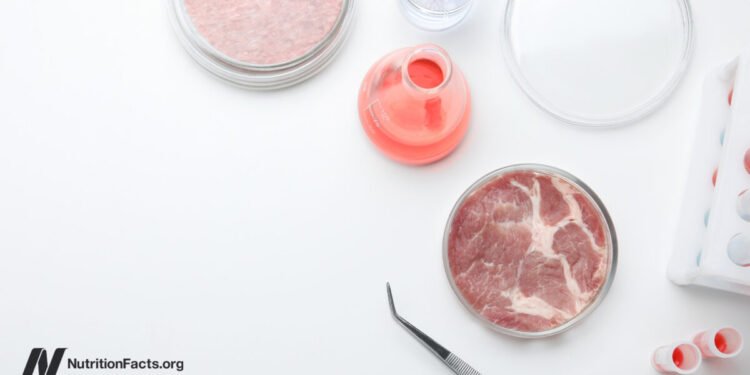 Chemical Safety, Cultivated Meat, and Our Health 