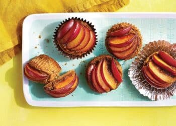 The Best of Stone Fruit Season: 26 Juicy Recipes with Plums, Peaches, Nectarines, Cherries, and Apricots