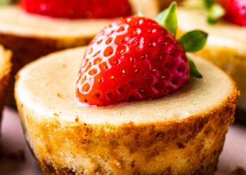 Dairy-free cheesecakes – Lazy Cat Kitchen