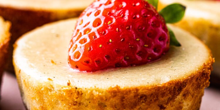 Dairy-free cheesecakes – Lazy Cat Kitchen