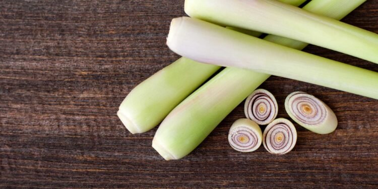 Lemongrass 101: How to Prep, Store, and Use This Fragrant Herb