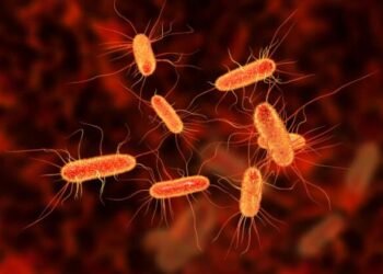 Scientists Have Finally Identified the Bacteria That Trigger Multiple Sclerosis
