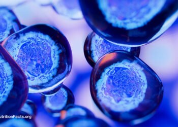 Dietary Components That May Cause Cancer to Metastasize 
