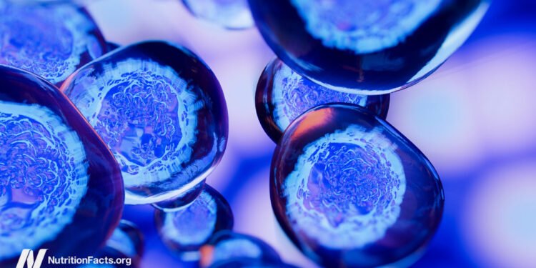 Dietary Components That May Cause Cancer to Metastasize 