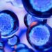 Dietary Components That May Cause Cancer to Metastasize 