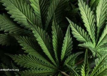 IBD and Cannabis 