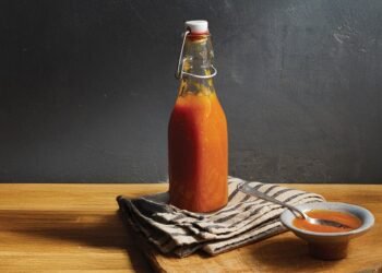 Curried Mango Ketchup