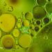 Are Carboxymethylcellulose, Polysorbate 80, and Other Emulsifiers Safe? 