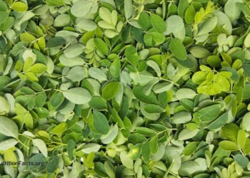 Is Moringa the Most Nutritious Food? 