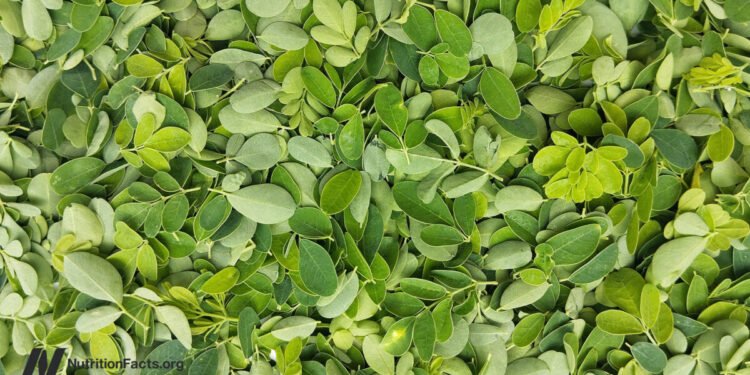 Is Moringa the Most Nutritious Food? 
