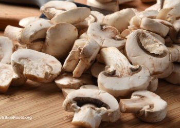 Are Raw Mushrooms Safe to Eat? 