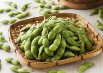 Edamame: How to Buy, Store, and Cook the Beloved Green Soybean