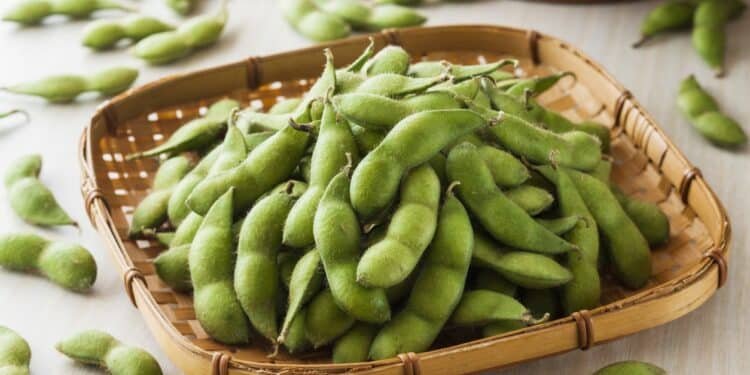Edamame: How to Buy, Store, and Cook the Beloved Green Soybean
