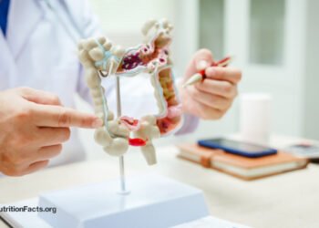 The Validity of SIBO Tests 