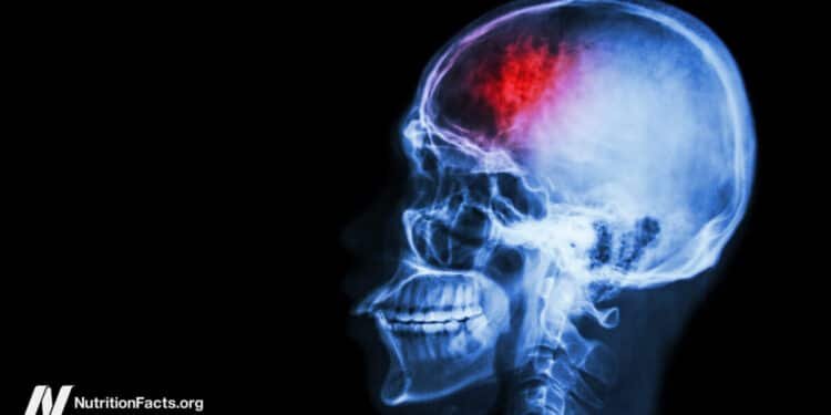 Fasting and Plant-Based Diets for Migraines and Traumatic Brain Injuries 