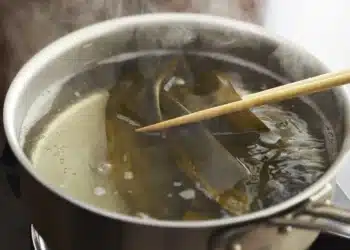Kombu 101: The Seaweed Secret Behind Japan’s Most Delicious Dishes