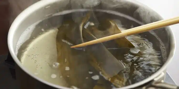 Kombu 101: The Seaweed Secret Behind Japan’s Most Delicious Dishes