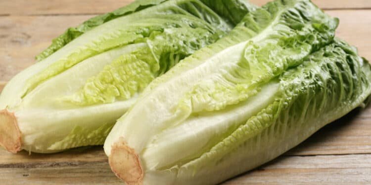 Health Benefits of Lettuce, Nutritional Facts And Consumption Tips