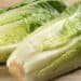 Health Benefits of Lettuce, Nutritional Facts And Consumption Tips