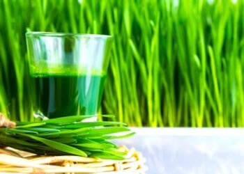How To Grow Wheatgrass At Home For Your Endless Juicing Supply