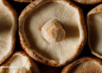 Cancer Survival and Medicinal Mushrooms