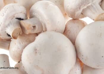 Prostate Cancer and Mushrooms