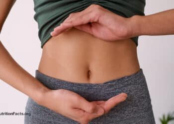 Can Vegan Fecal Transplants Lower TMAO Levels?
