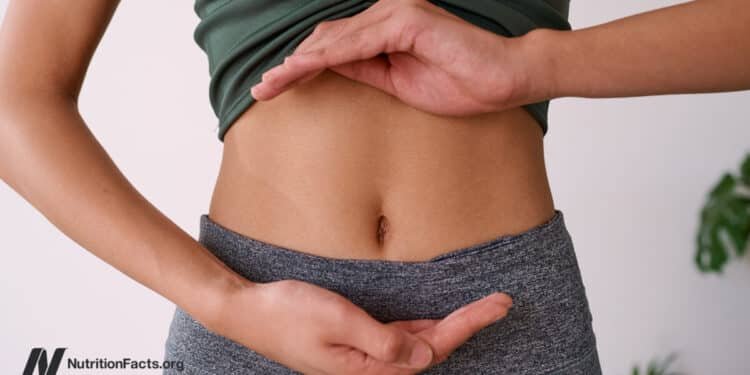 Can Vegan Fecal Transplants Lower TMAO Levels?