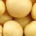 Do Potatoes Shorten Your Life?