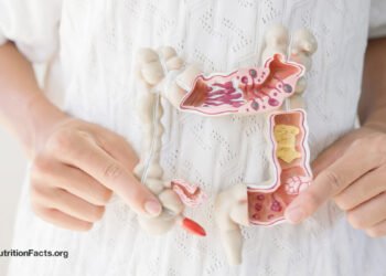 Which Foods Help a Leaky Gut?