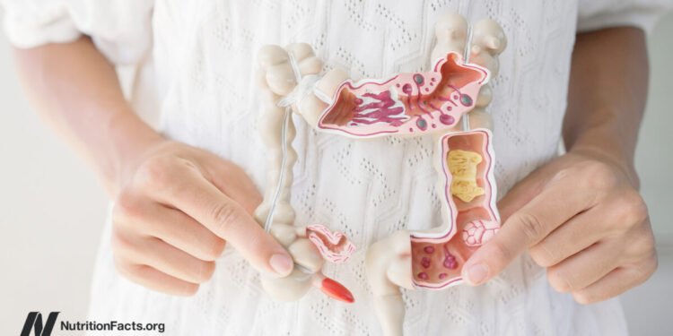 Which Foods Help a Leaky Gut?