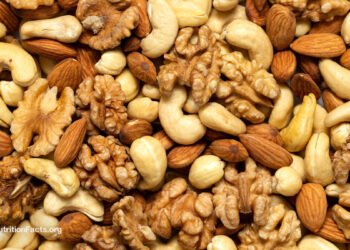 Nuts, Sperm, and Sex: The Surprising Connection