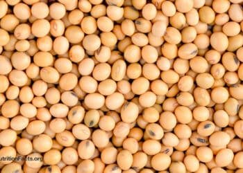 Does Less Protein Increase FGF21 for Longevity?
