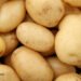 Potatoes and Diabetes: It’s Complicated