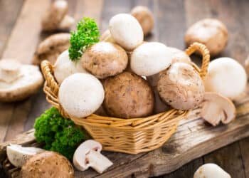 Are you a fungi fanatic? We unpack the mushroom mania nutrition trend