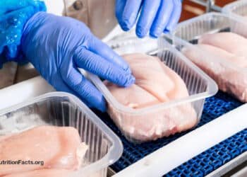 How Big Is the Cancer Risk from Processed Meat?