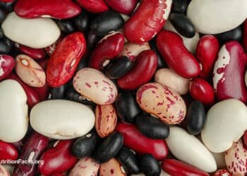 Which Beans Best Block the Spread of Cancer?