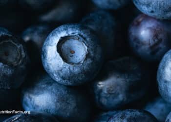 Protect Your Arteries from Saturated Fat with These Foods