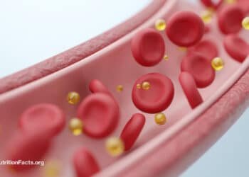 How a Single Meal Can Cripple Your Arteries and Lungs