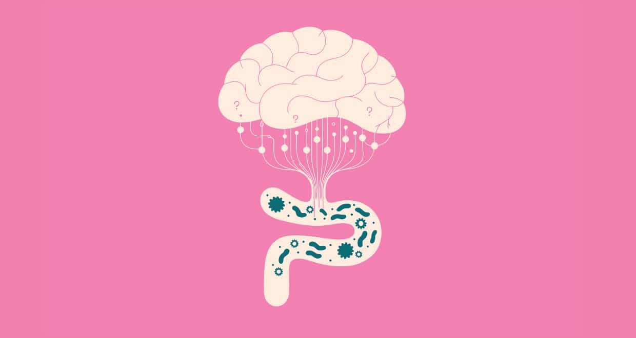 Menopause and Your Microbiome: How Gut Health Shapes Weight, Mood and Hormones