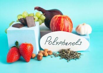 New research strikes a nerve by revealing the power of polyphenols