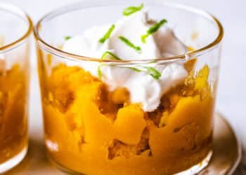 Mango granita – Lazy Cat Kitchen