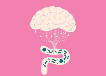 How Your Brain, Gut, and Immune System Work Together To Keep You Healthy