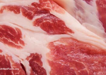 The Meat Papers Contradicted Their Own Data