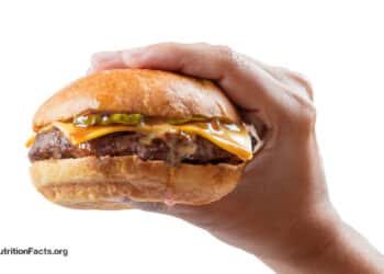 How Many Minutes of Life Does a Burger Cost?
