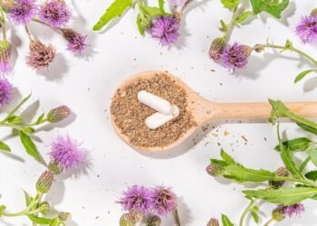 Milk Thistle for Women: Supporting Liver Health Through Life’s Hormonal Shifts
