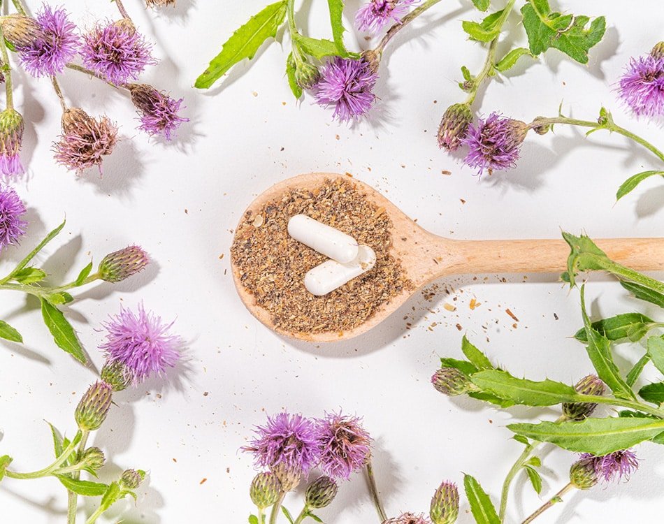 Milk Thistle for Women: Supporting Liver Health Through Life’s Hormonal Shifts