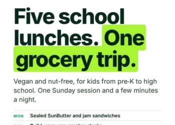 Five Vegan School Lunches, One Grocery Trip