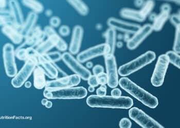 Feeding Our Gut Microbiome for Better Health